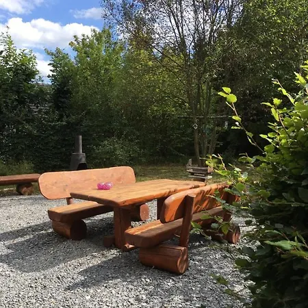 In The Woods 胡法利兹