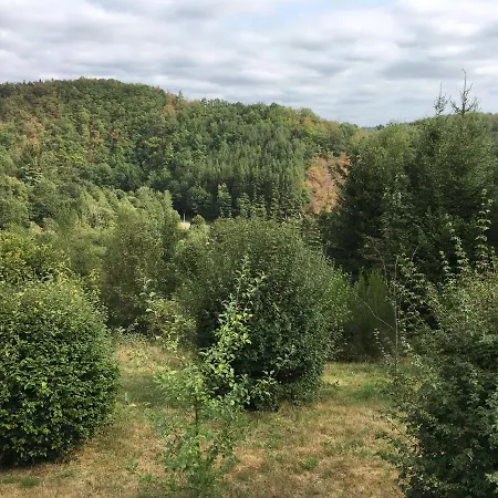 In The Woods Σαλέ