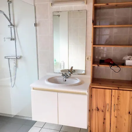 In The Woods 木屋 胡法利兹