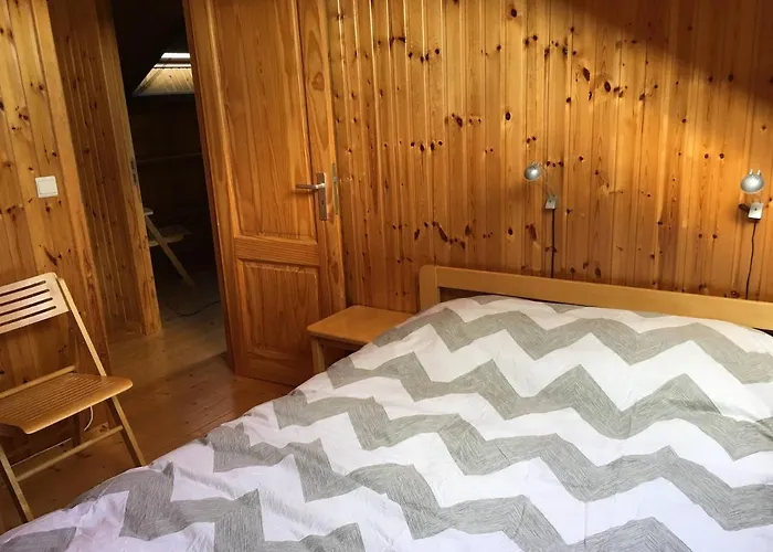 In The Woods * Houffalize